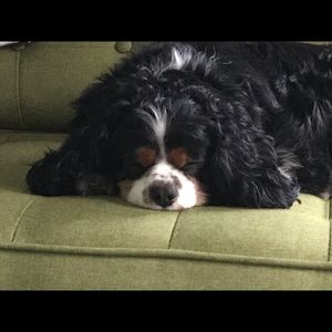 Meet your Posher, Karen